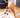 Le comportement destructeur chez le chien